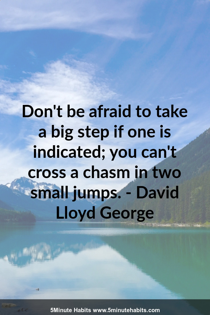 Don't be afraid to take a big step if one is indicated; you can't cross a chasm in two small jumps. - David Lloyd George
